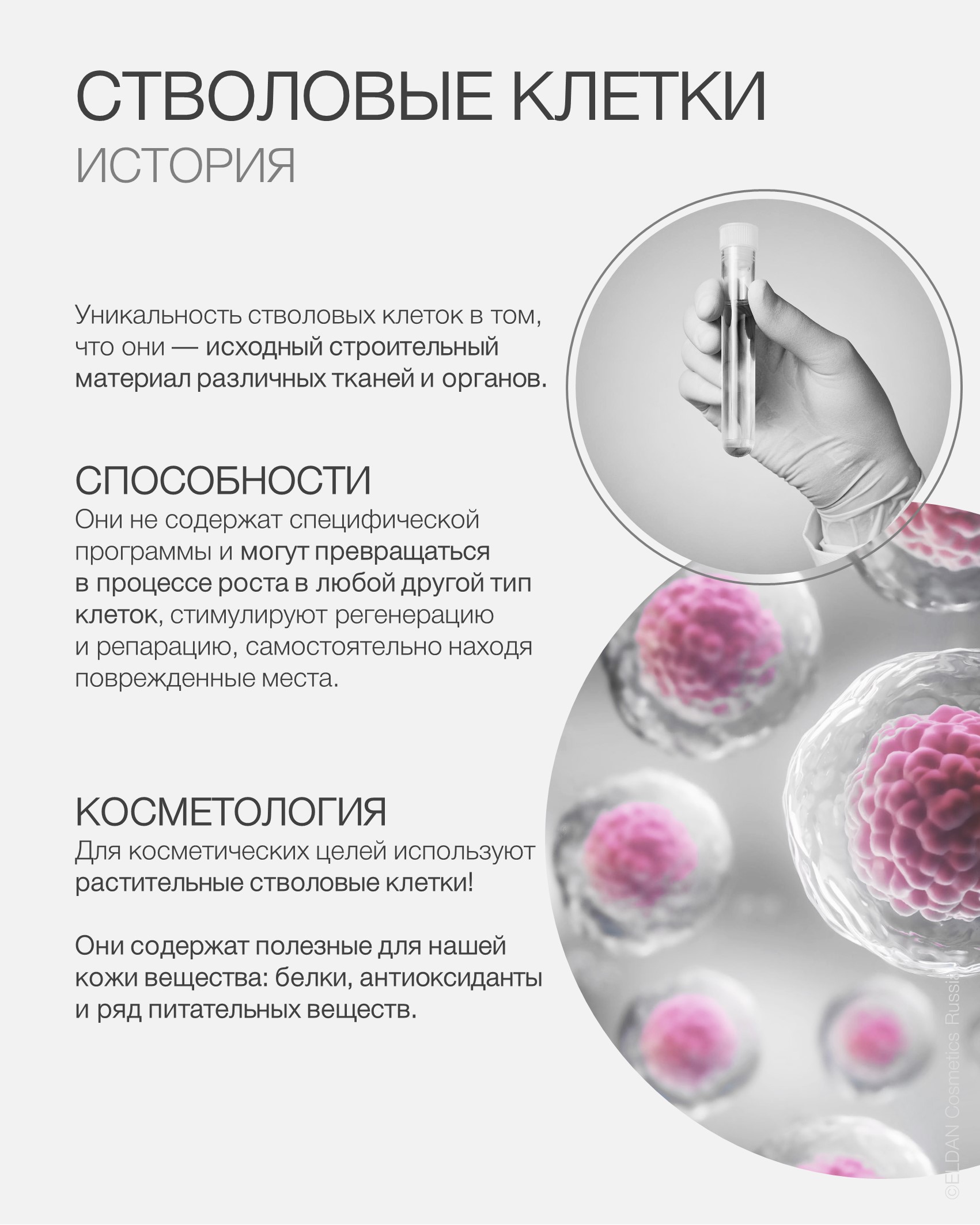Пост стволовые клетки 2025 2.jpg Пост стволовые клетки 2025 2.jpg